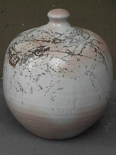 Porcelain Jar
