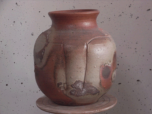 Vase with Abalone Shells